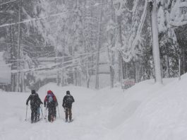 A group of friends ski on a residential street during a snowstorm, Saturday, March 2, 2024, in Truckee, Calif. (AP Photo/Brooke Hess-Homeier)