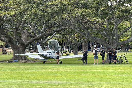 No injuries when small plane lands in sprawling park in middle of Hawaii’s Waikiki tourist mecca