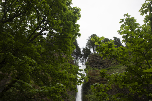 Hiker dies after falling from trail in Oregon’s Columbia River Gorge, officials say