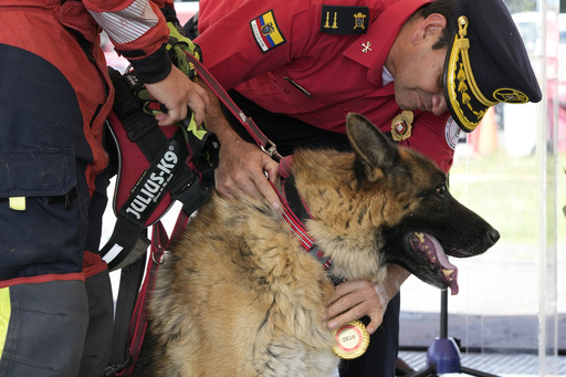 5 firefighter dogs who rescued people from natural disasters are honored in Ecuador as they retire