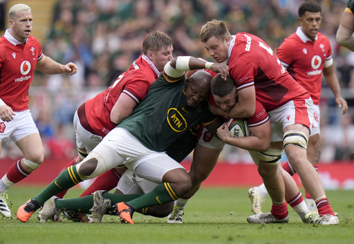 Springboks overcome Wales fightback to pull away at Twickenham