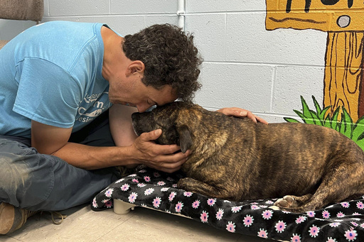 Cave explorers in western Virginia save ‘miracle’ dog found deep inside cave