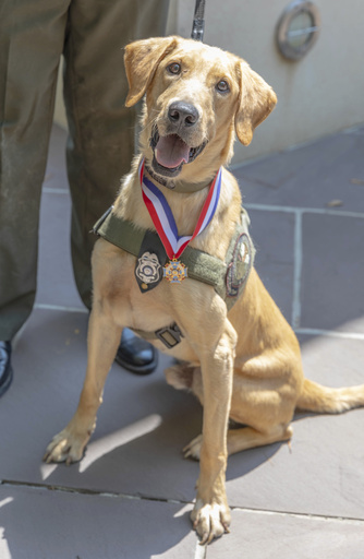 Mississippi wildlife officer and K-9 honored with medal for locating three lost children