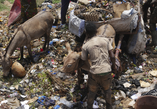 The accumulation of garbage in Mali’s capital is increasing, with donkey carts being utilized for assistance.