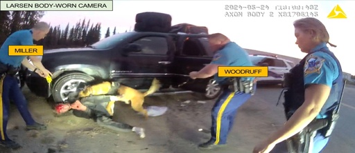 Alaska State Troopers accused of violent arrest involving beating, stunning, and dog use on incorrect individual, according to charges