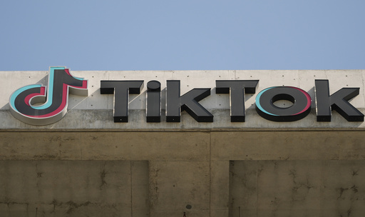 TikTok draws parallel between its situation and that of foreign-owned American news outlets amid battle against mandated sale or ban.