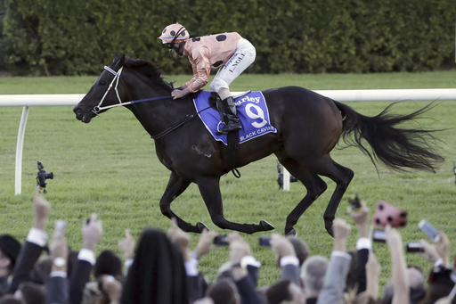 Undefeated Australian racehorse Black Caviar passes away after 25 wins