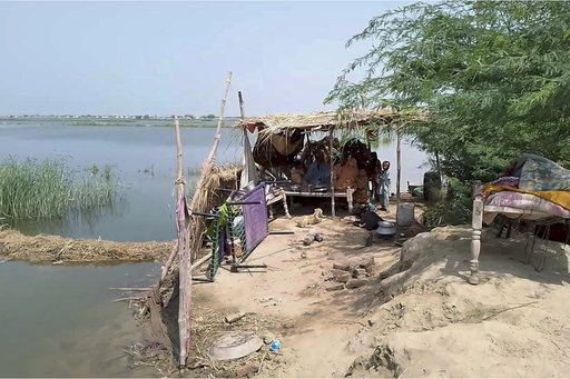 Heavy rains hit Pakistan’s south as this monsoon’s death toll rises to 209