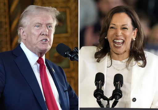 Harris Starts Introducing Policies; Trump Campaign’s Information Leaked to News Sources