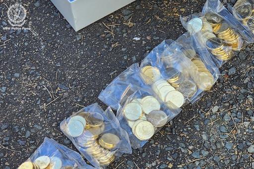 Police in Australia seize 40,000 stolen coins inspired by the animated series ‘Bluey’