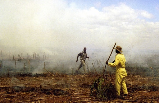 Zimbabwe will provide compensation to white farmers affected by land seizures two decades prior.