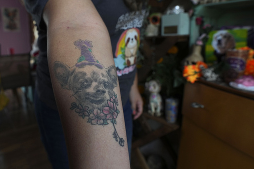 Pets participate in Mexico’s Day of the Dead festivities, with unique altars for Fido and Tiger.