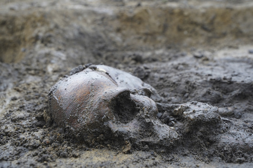 In Denmark, a rare find consists of 50 well-preserved skeletons from the Viking Age.