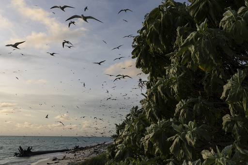 Helen Reef in Palau attracts illegal fishers, but rangers work to protect it.