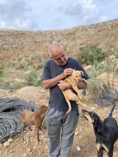 A man in south Lebanon cares for pets left behind as residents flee Israeli strikes