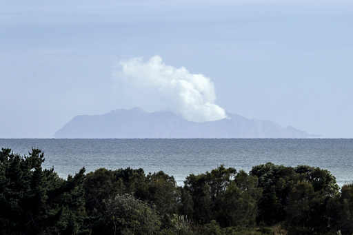 A judge will determine whether the owners of a New Zealand volcano site, where 22 fatalities occurred, were wrongfully convicted.