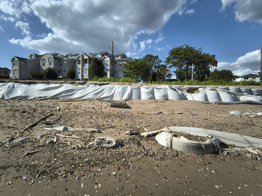 Artificial reefs near a New York City beach support marine life and may potentially save lives.