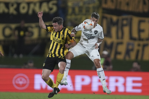 Botafogo reaches its inaugural Copa Libertadores final after falling 3-1 to Penarol.