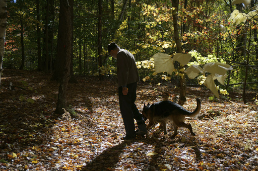 Orthodox monks in a New York monastery raise and train dogs to explore spiritual lessons about God.