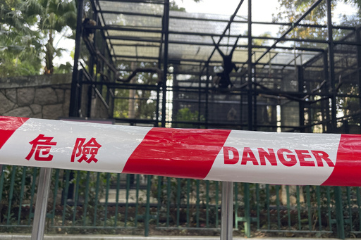 Officials report that 9 monkeys that passed away in a Hong Kong zoo over two days were infected with melioidosis.