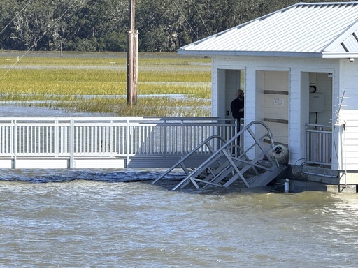 An engineering company will examine the fatal dock collapse in Georgia.