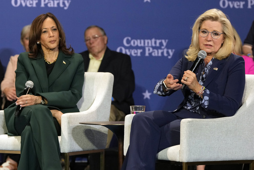 Progressives caution Harris to revise her final message as the election approaches