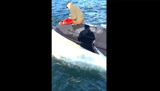 Not a whale! Fishermen save man trapped in overturned boat near Nantucket