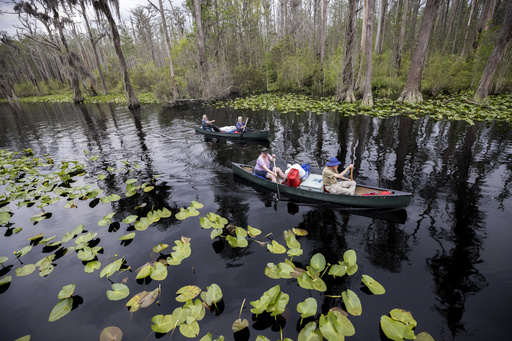 Plans to expand Okefenokee National Wildlife Refuge may result in the acquisition of a mining operation.