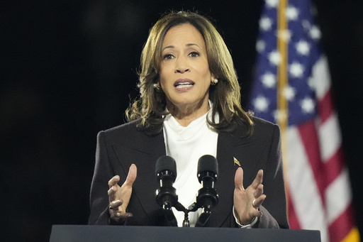 Highlights from Kamala Harris’ speech: An important to-do list, the significance of size, and the notion of a ‘petty tyrant’