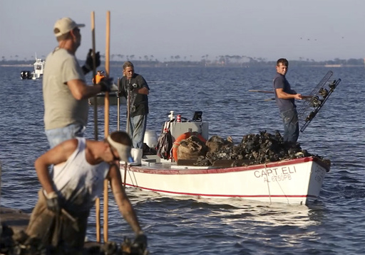 Mississippi Gulf Coast set to welcome its inaugural oyster season since 2018.