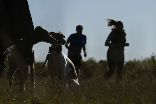 Feel-good parkruns have raced past their humble beginnings and now draw millions for fitness and fun