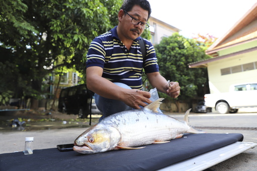 Massive fish once believed to be extinct has been seen in the Mekong River.