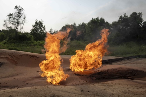 Congo calls off auction for 27 locations designated for oil exploration.