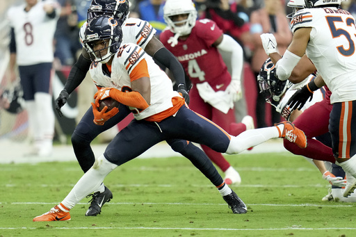 Bears falter in 29-9 defeat to Cardinals following late halftime touchdown