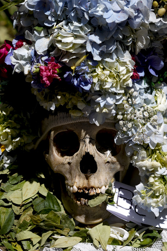 In La Paz, Bolivians request blessings by bearing decorated human skulls during the Ñatitas festival.