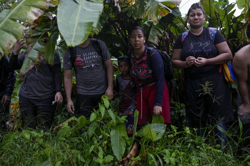 As migrants traversed the Darien, news of Donald Trump’s election win reached them, prompting an increase in their speed.