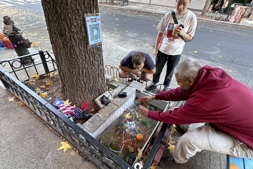 A temporary goldfish pond under a dripping fire hydrant in Brooklyn finds new life in a tree planter.