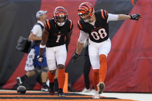 Gesicki’s standout performance leads the Bengals to a much-needed win over the Raiders.