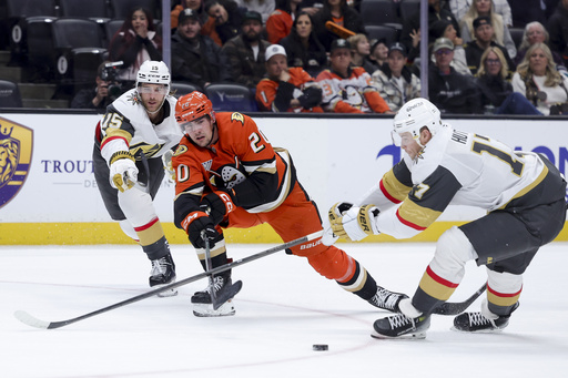 Golden Knights secure 3-2 victory over Ducks with goals from Nicolas Roy, Tomas Hertl, and Pavel Dorofeyev