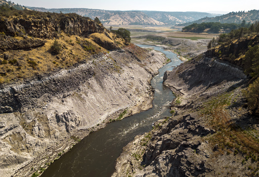 Salmon return to spawn in ancestral grounds following the biggest dam removal initiative in US history.