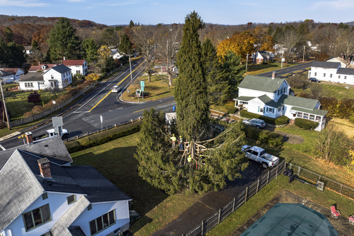 Massachusetts town draws large crowds for farewell to New York’s Rockefeller Christmas tree.