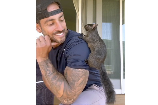 Popular squirrel influencer put down after removal from residence tests negative for rabies