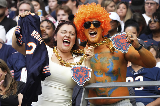 Cardinals obliged to shut roof during Bears game due to hail in second quarter