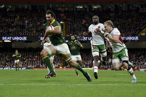 Springboks achieve flawless tour by inflicting 12th consecutive defeat on Wales