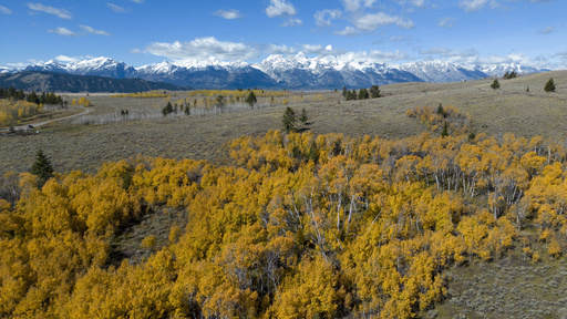 Wyoming proceeds with plans to sell $100M worth of land in Grand Teton National Park to the federal government.