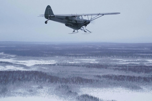 In Alaska, a pilot delivers turkeys to remote homes, making it both a bird and a plane!