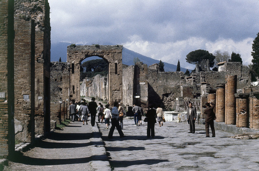 Fresh DNA findings alter the historical narratives of individuals from ancient Pompeii.