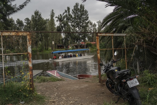 Mexico City’s ancient floating gardens, a source of sustenance for centuries, now face threats.