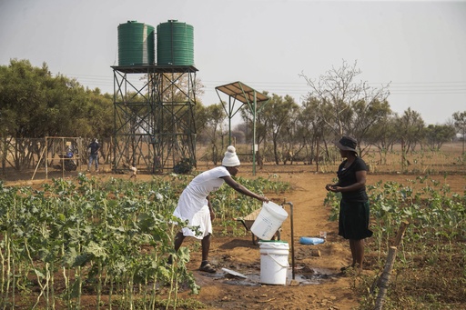 Food assistance programs can alleviate difficulties caused by climate change. However, is there a need for increased efforts?