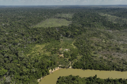 Amazon rainforest deforestation in Brazil decreased by almost 31% from last year.